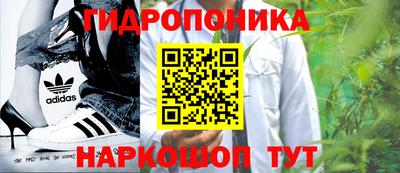 PSILOCYBIN Будённовск